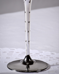 Champagne Flute/Glass Pair